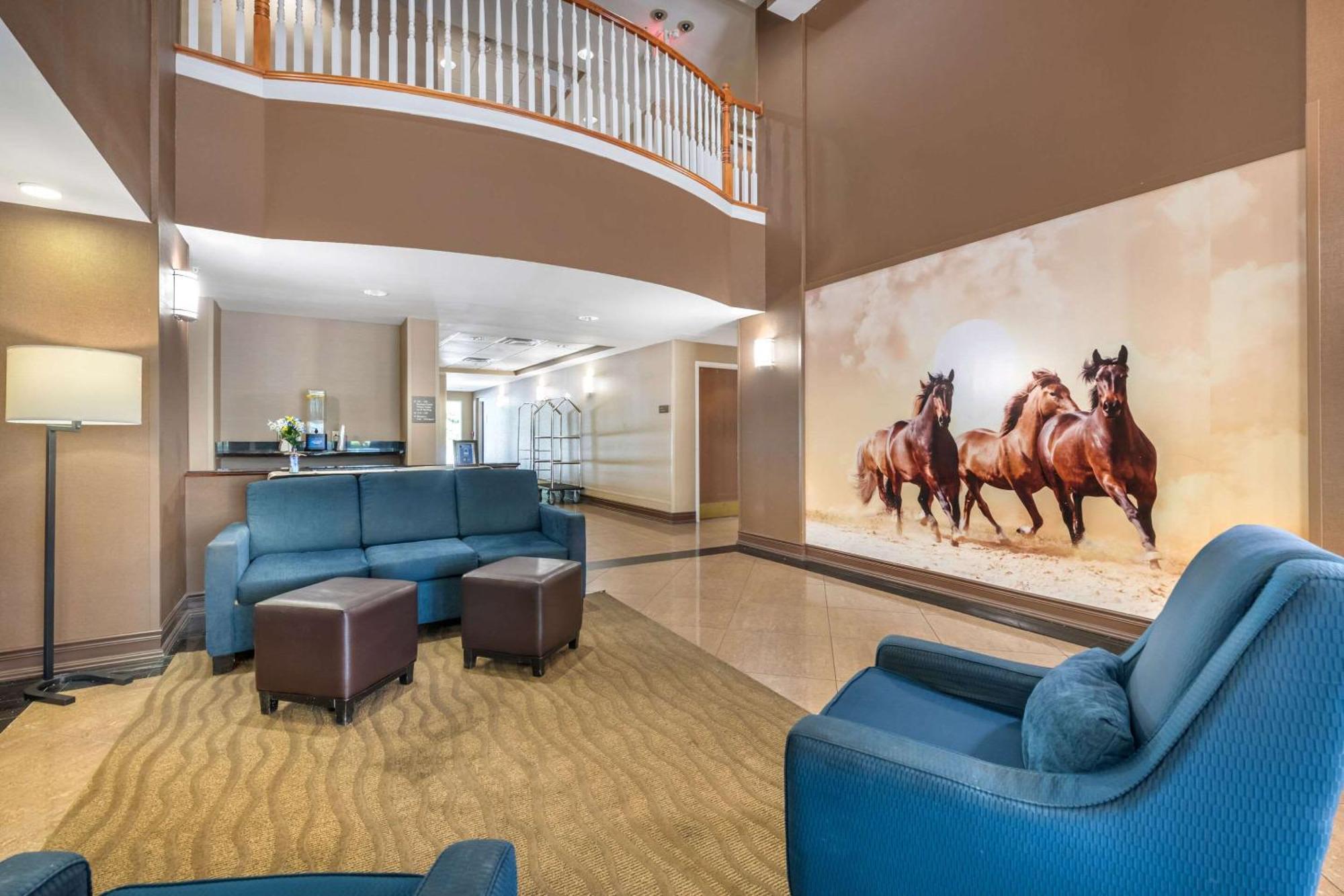 Hotel Comfort North